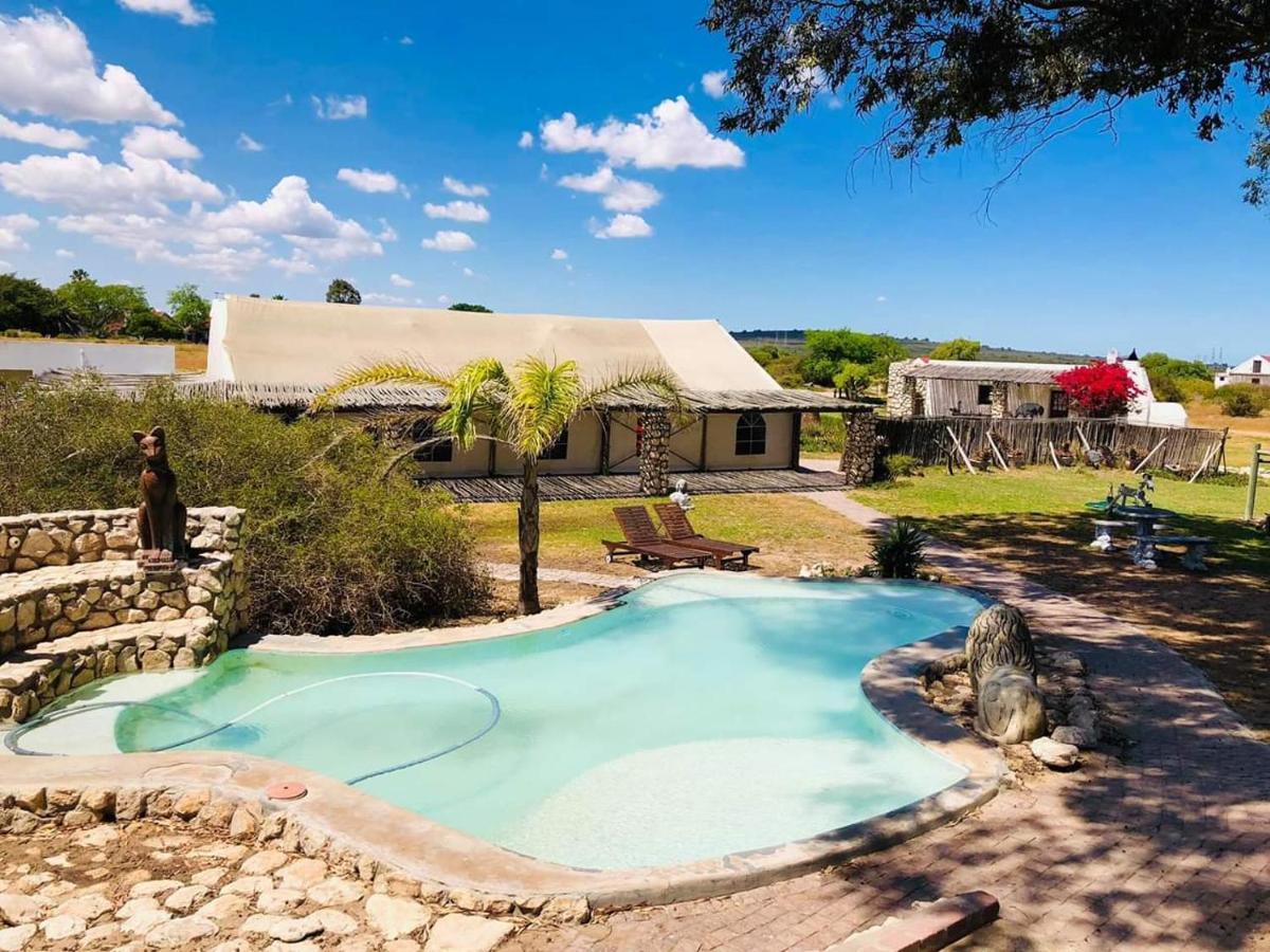 Thali Thali Game Lodge Langebaan Zewnętrze zdjęcie