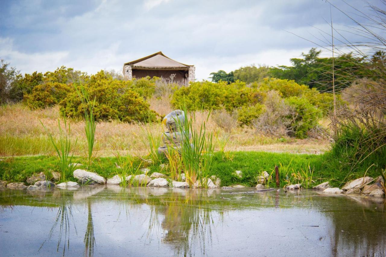 Thali Thali Game Lodge Langebaan Zewnętrze zdjęcie